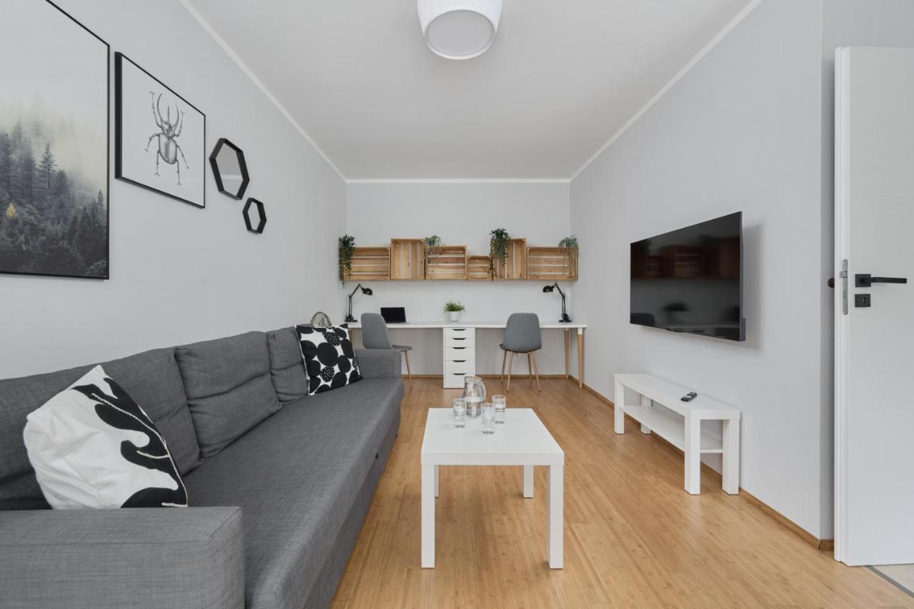 Convenient Mosiezna 7 By Renters